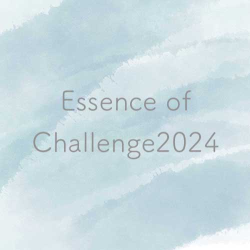 Essence of Challenge2024